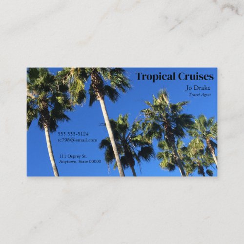 Palm trees and blue skies business card