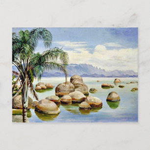 Palm Trees and Boulders in the Bay of Rio, Brazil Postcard