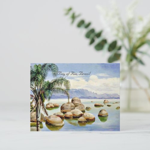 Palm Trees and Boulders in the Bay of Rio Brazil Postcard