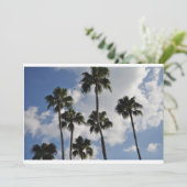 palm trees and clear skies (Standing Front)