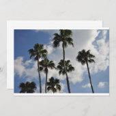 palm trees and clear skies (Front/Back)