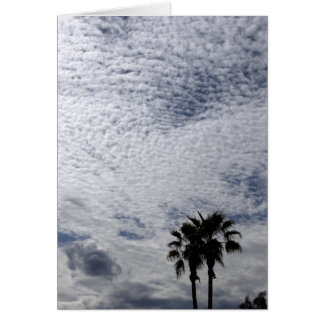 Palm Trees and Clouds Cards