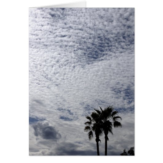 Palm Trees and Clouds Cards (Front)