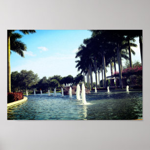 PALM TREES AND FOUNTAIN POSTER