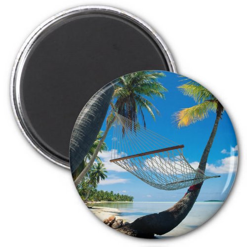 Palm Trees and Hammock Magnet