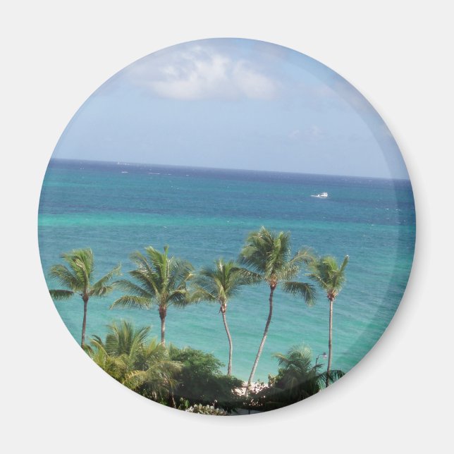 Palm trees and Ocean magnet (Front)