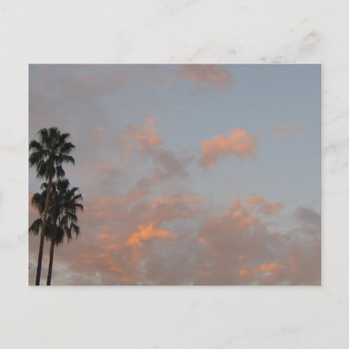 Palm Trees and Pink Clouds Blank Art Postcard