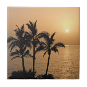 Palm Trees and Romantic Sunset Ceramic Tile