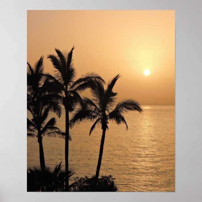 Palm Trees and Romantic Sunset Poster (Front)