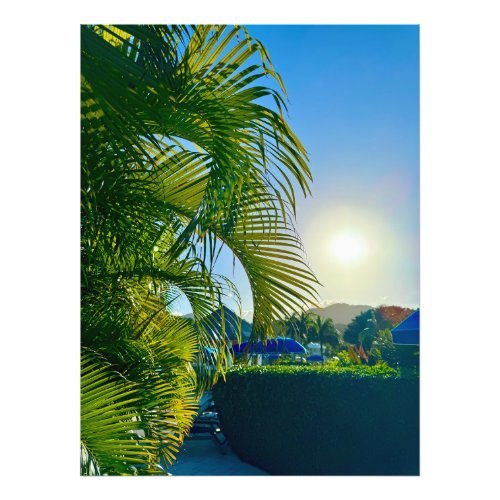 Palm Trees and Sunshine in Marigot St Martin Photo Print