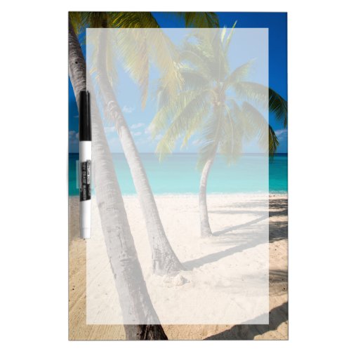 Palm trees and turquoise water along Seven_Mile Dry Erase Board