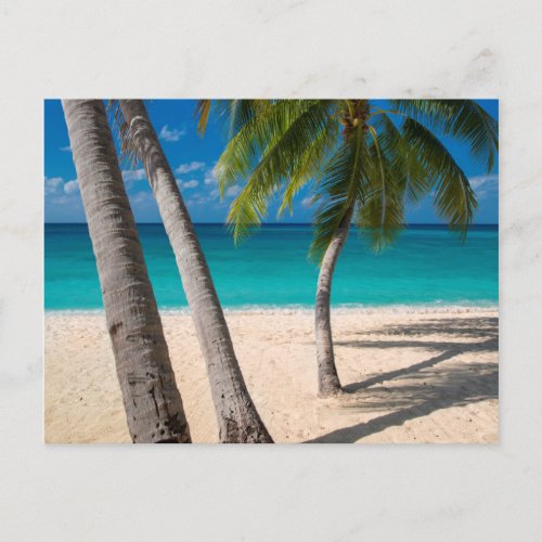 Palm trees and turquoise water along Seven_Mile Postcard