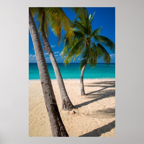 Palm trees and turquoise water along Seven_Mile Poster