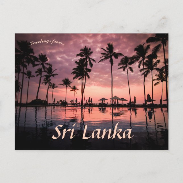Palm Trees at Negombo Beach Sri Lanka Postcard (Front)