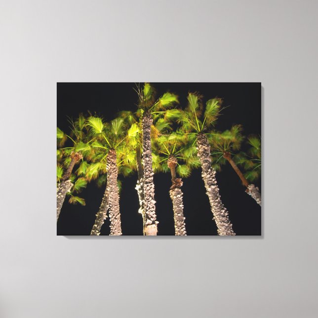 Palm Trees At Night Photo - Premium Wrapped Canvas (Front)