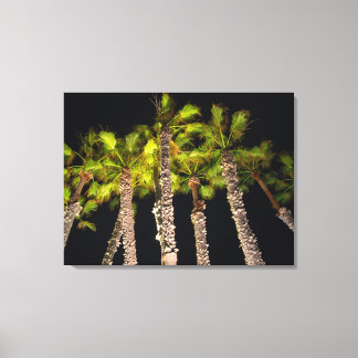 Palm Trees At Night Photo - Premium Wrapped Canvas Print
