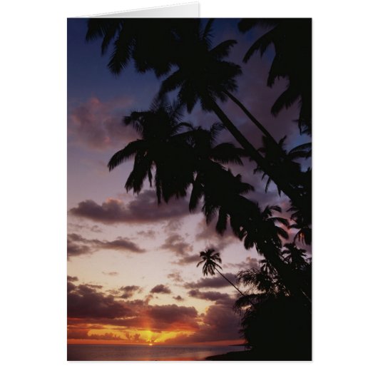 Palm Trees at sea Cards (Front)