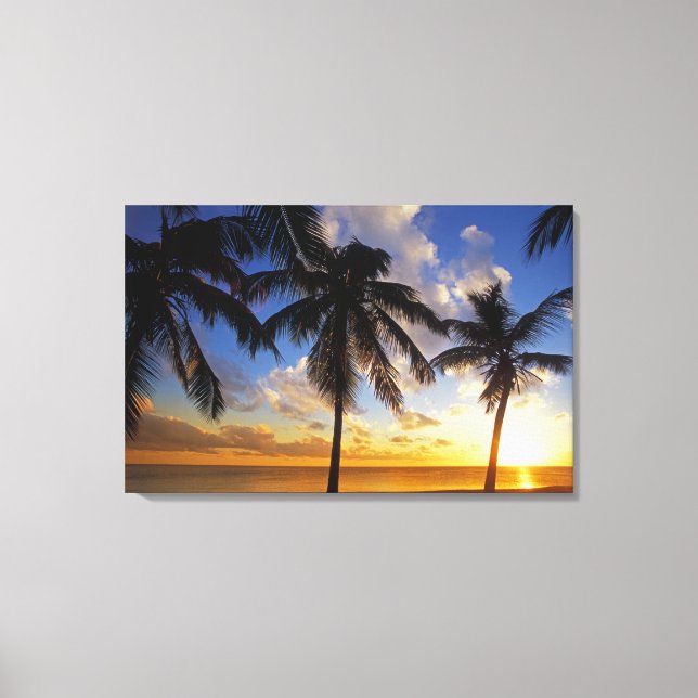 Palm Trees at Sunset Canvas Print (Front)