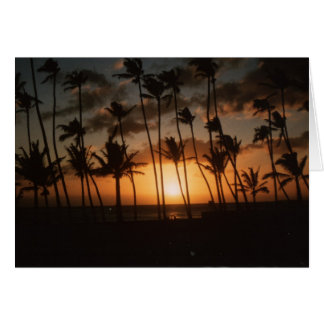 Palm Trees at Sunset Cards