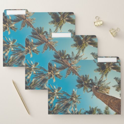 Palm Trees at Tropical Beach Vintage File Folder