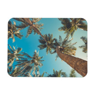 Palm Trees at Tropical Beach Vintage Magnet