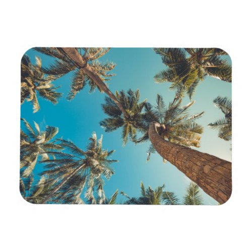 Palm Trees at Tropical Beach Vintage Magnet