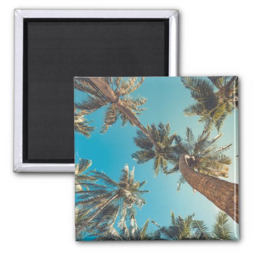 Palm Trees at Tropical Beach Vintage Magnet