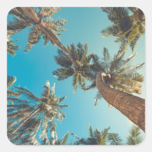 Palm Trees at Tropical Beach Vintage Square Sticker