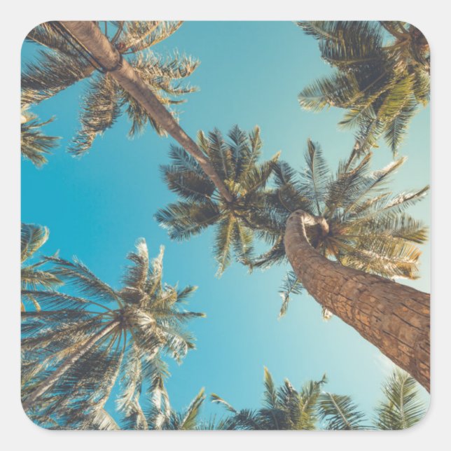 Palm Trees at Tropical Beach Vintage Square Sticker (Front)