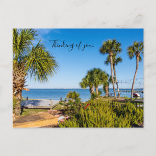 Palm Trees Bayside Morning Thinking Of U Postcard