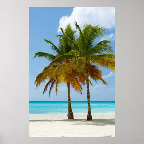 Palm Trees Beach Blue Sea Sky Sunny Day Poster