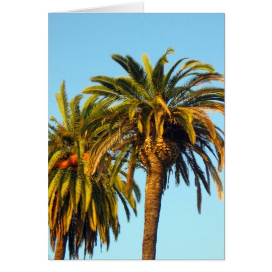 Palm Trees Card