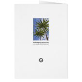 Palm Trees Cards (Back)