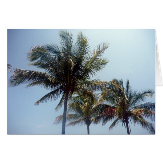 palm trees cards (Front Horizontal)