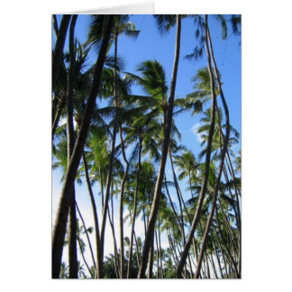 Palm Trees Cards