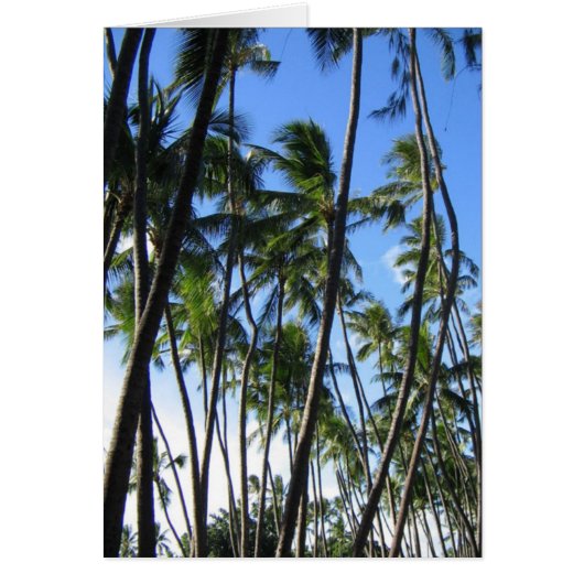 Palm Trees Cards (Front)