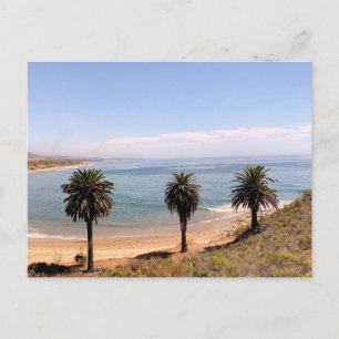 Palm Trees Coastal Landscape Original Photography Postcard