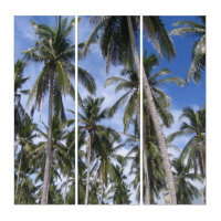 Palm Trees Design Triptych