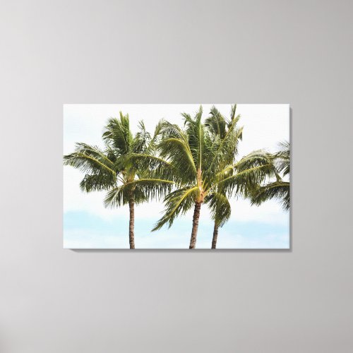 Palm Trees in Kauai Canvas Print