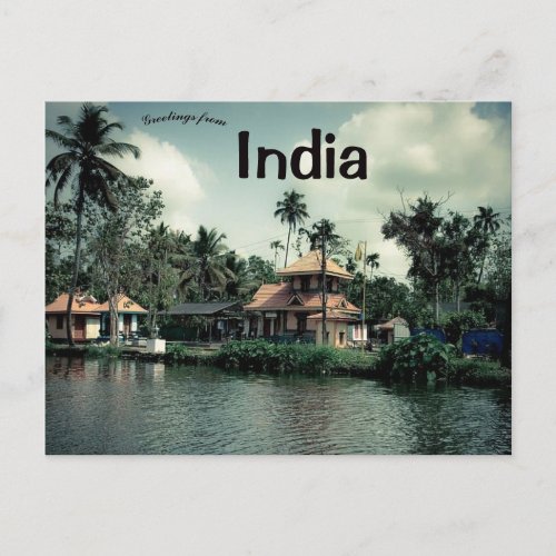 Palm Trees in Kerala India Postcard