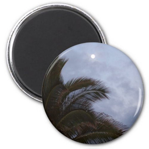 Palm Trees in Paradise  Magnet