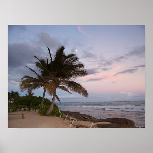 Palm Trees in Paradise  Poster