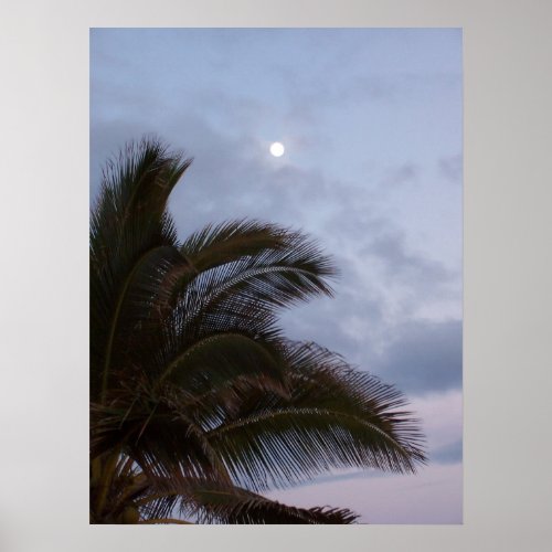 Palm Trees in Paradise  Poster