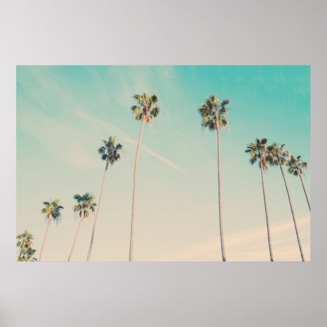 Palm Trees in the Wind Photo Poster (Front)