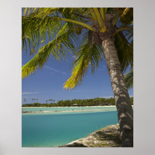 Palm trees & lagoon, Musket Cove Island Resort Poster