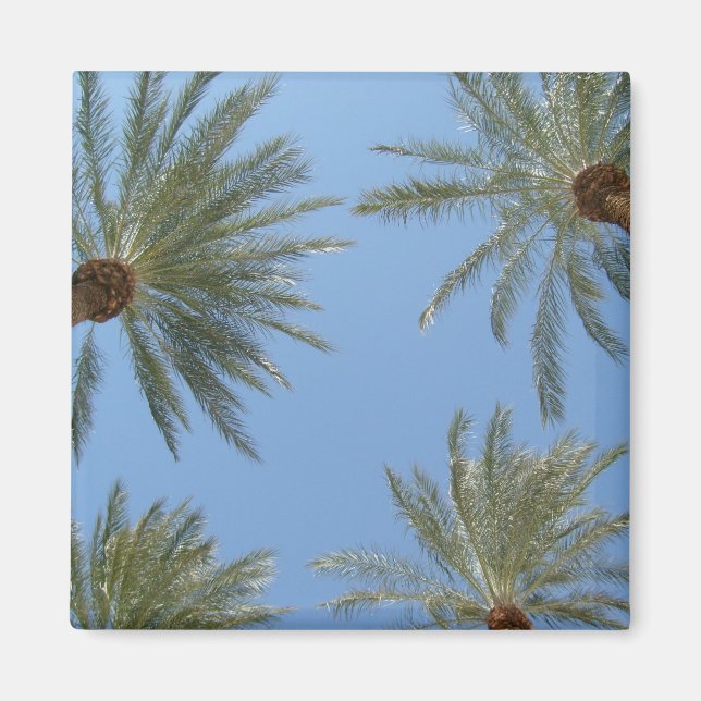 Palm Trees Magnet (Front)