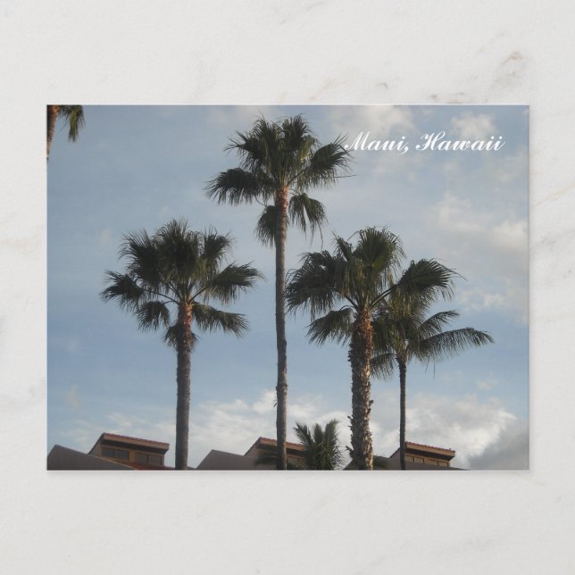 Palm Trees Maui Hawaii Postcard (Front)