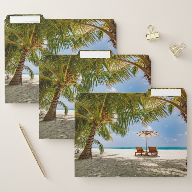 Palm Trees | Moody Sky File Folder (Set)
