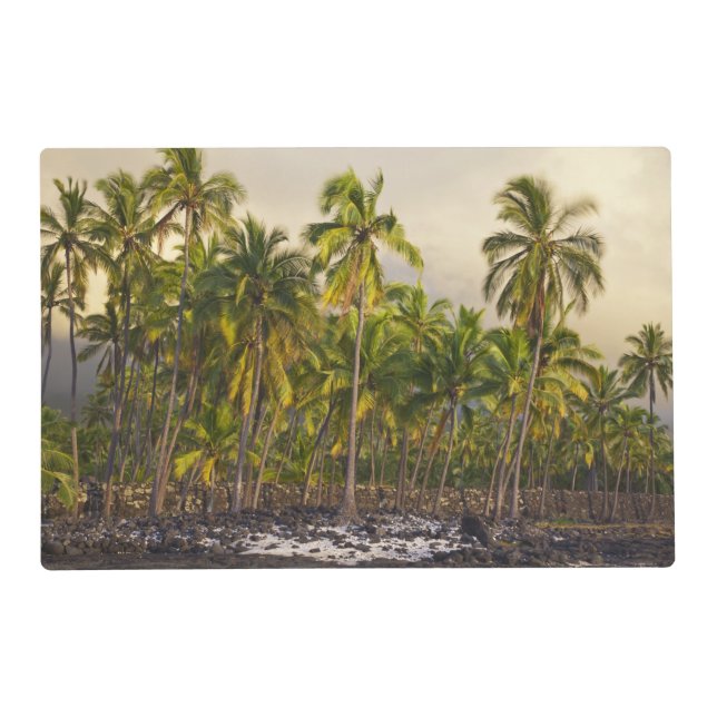 Palm trees, National Historic Park Pu'uhonua o 2 Placemat (Front)