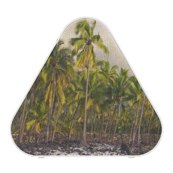 Palm Trees  National Historic Park Pu'uhonua O 2 Speaker by tothebeach at Zazzle